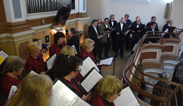 coro haliaetum in san mauro