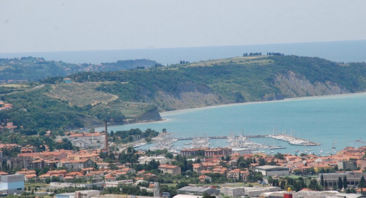 image 12
