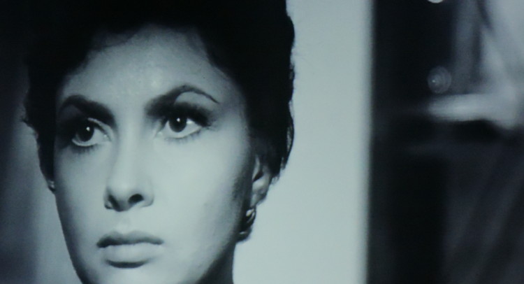 Gina Lollobrigida
