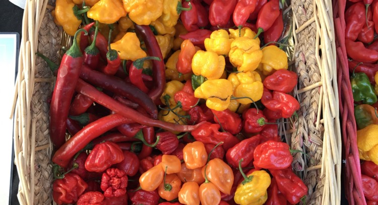 Il chili protagonista della festa
