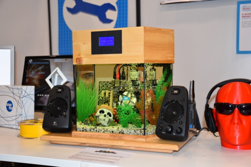 Lacquario dei ragazzi isolani