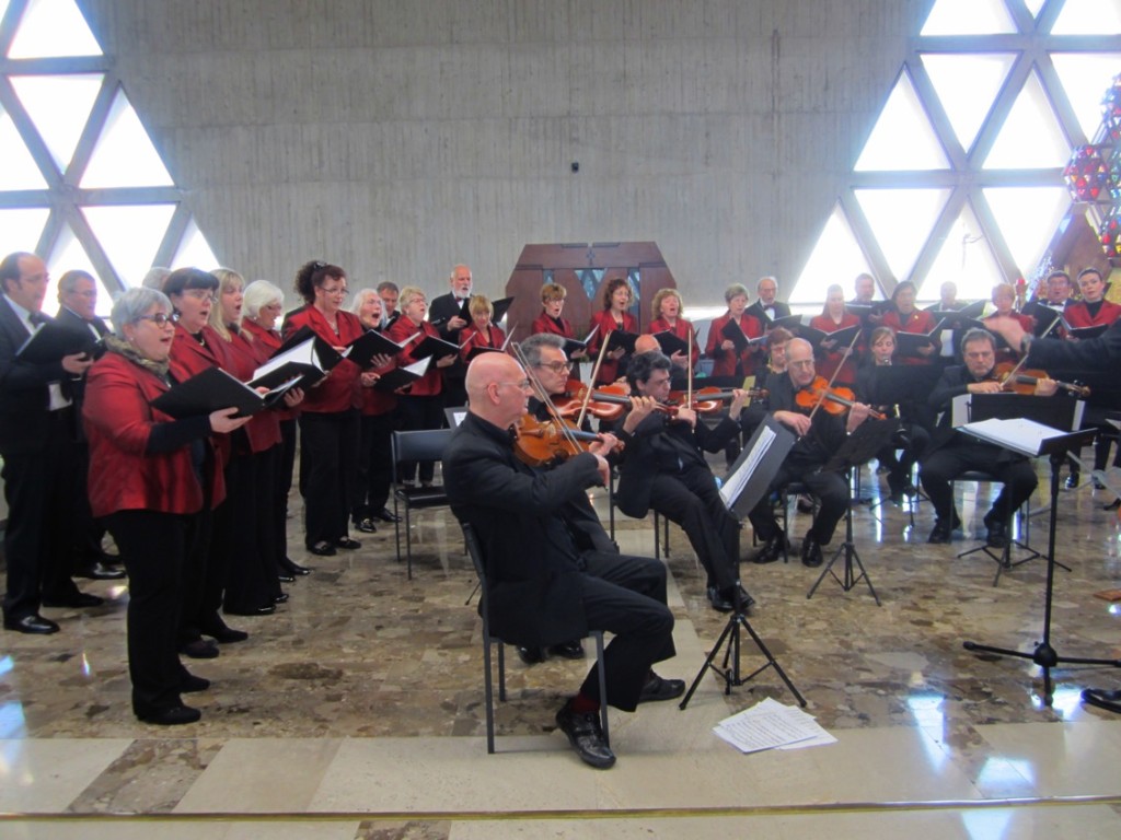 L'Haliaetum conquista il Fruli Venezia Giulia 2 image1