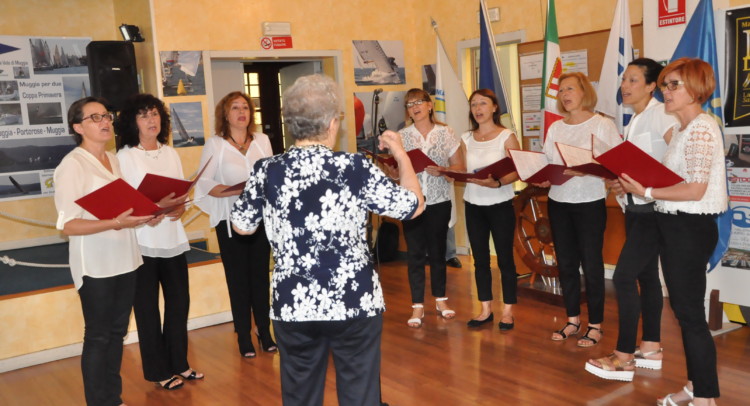 Rondini In canto