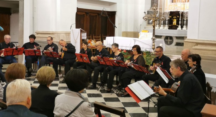 Mandolinistica