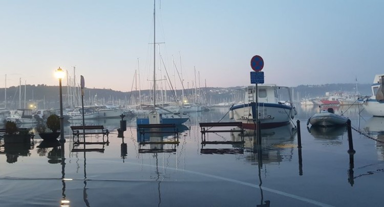 80347438 1429509450563109 294401316443127808 o