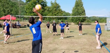 Green Volley Gioco
