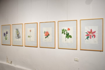Palazzo Manzioli risplende nei colori della primavera 3 Mostra La macia Disegni
