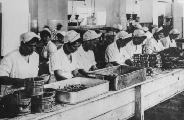 unimmagine del documentario