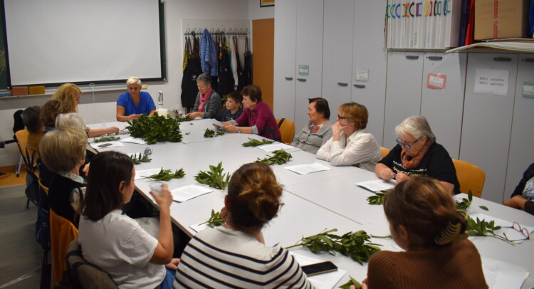 Erboristeria Protagonista dellincontro lalloro 1