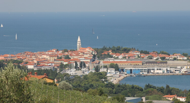 isola zaro 027
