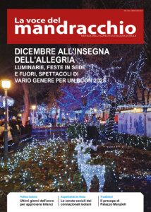vm206 pdf