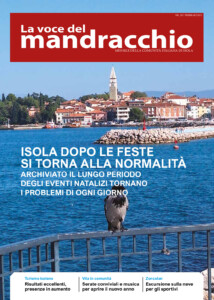 vm207 pdf