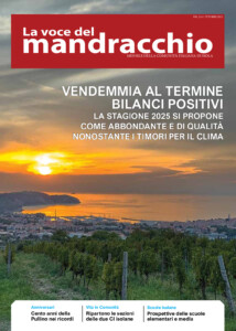 vm214 pdf