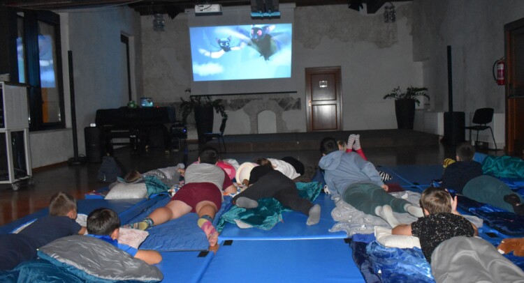 Notte al Manzioli La visione dei film