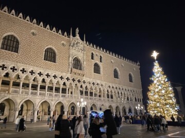 albero